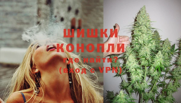 шишки Алексеевка